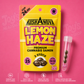Lemon Haze Auto – 3 Premium Cannabissamen