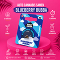Holy Hemp Blueberry Bubba Auto – Feminisierte Cannabis Samen (3 Stück)