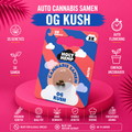 Holy Hemp OG Kush Auto – Feminisierte Cannabis Samen (3 Stück)